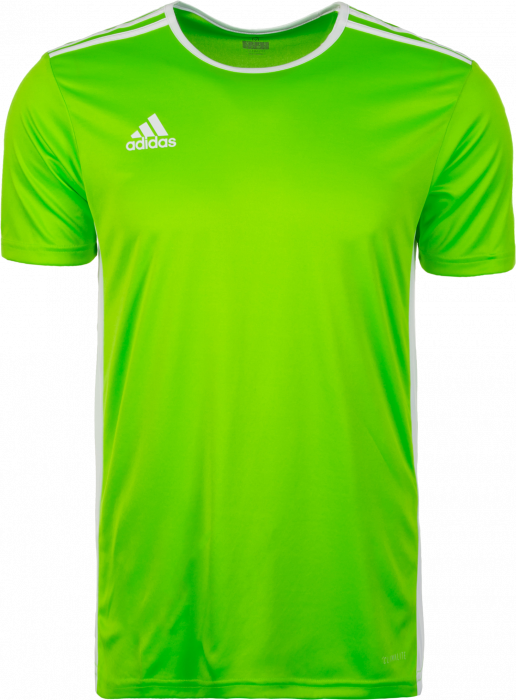 Adidas - Entrada 18 Game Jersey - Solar Green & vit